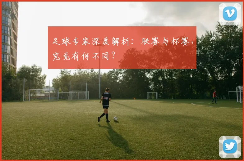 足球专家深度解析:联赛与杯赛,究竟有何不同?